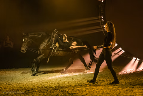 Foto 420 in de galerij van Aya.