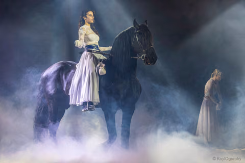 Photo 369 de la galerie du spectacle Aya.