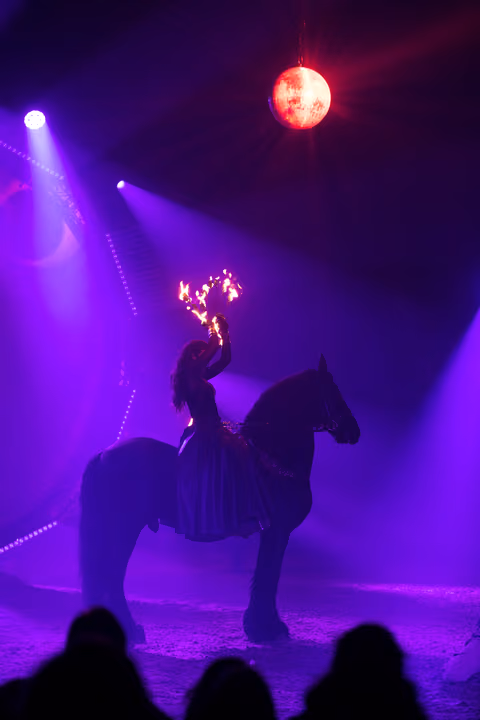 Photo 12 de la galerie du spectacle Aya.