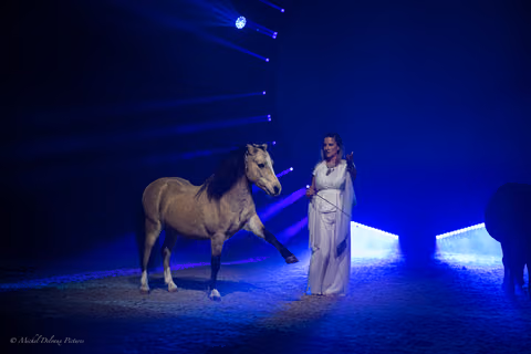 Photo 462 de la galerie du spectacle Aya.