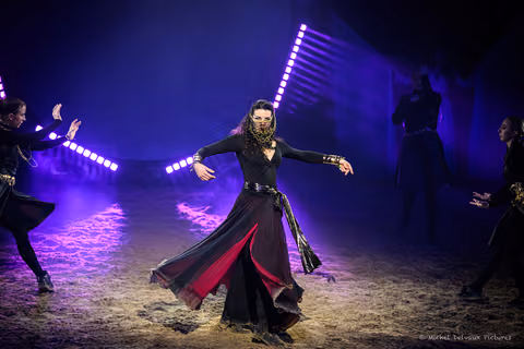 Photo 10 de la galerie du spectacle Nemesis.