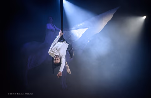 Photo 69 de la galerie du spectacle Nemesis.