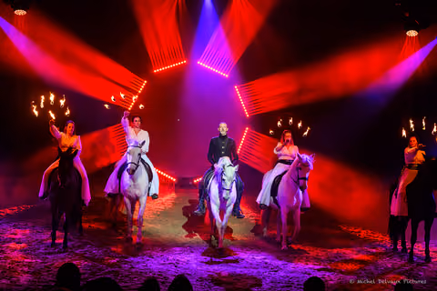 Photo 3 de la galerie du spectacle Nemesis.