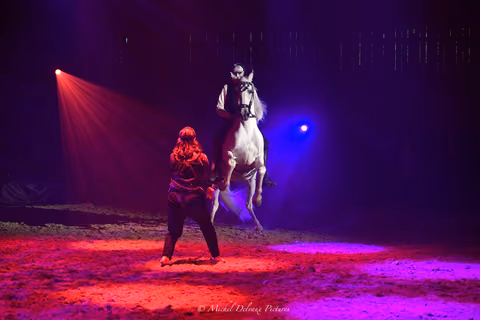 Photograph 126 in the Nova gallery.