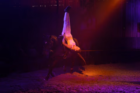 Photo 17 de la galerie du spectacle Nova.